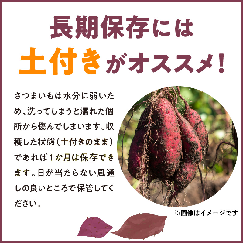 福岡県久留米市産　長期熟成紅はるか 5kg　M～2L　土付き