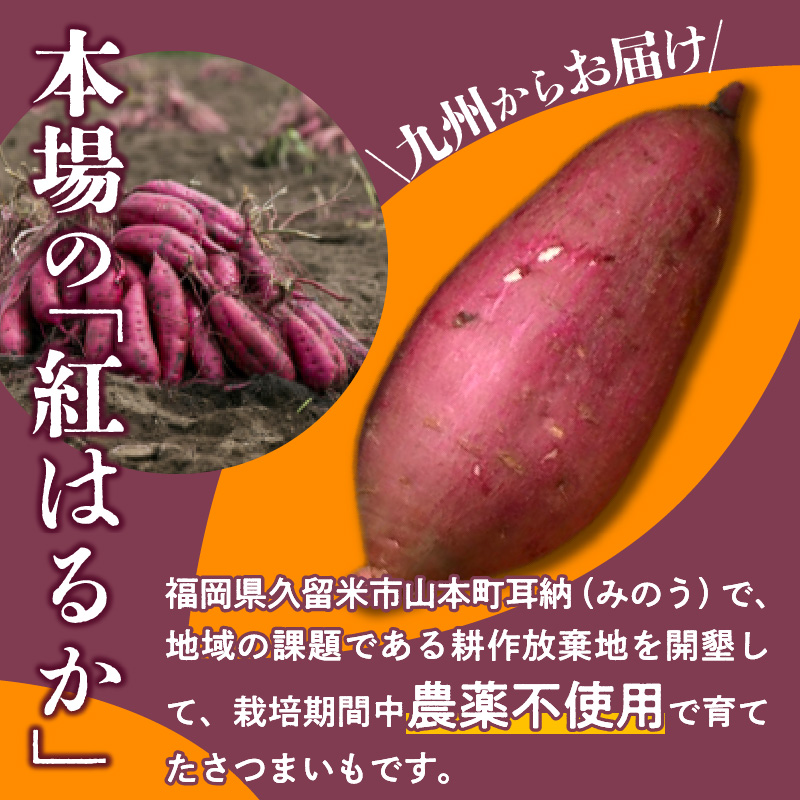 福岡県久留米市産　長期熟成紅はるか 5kg　2S～S　土付き