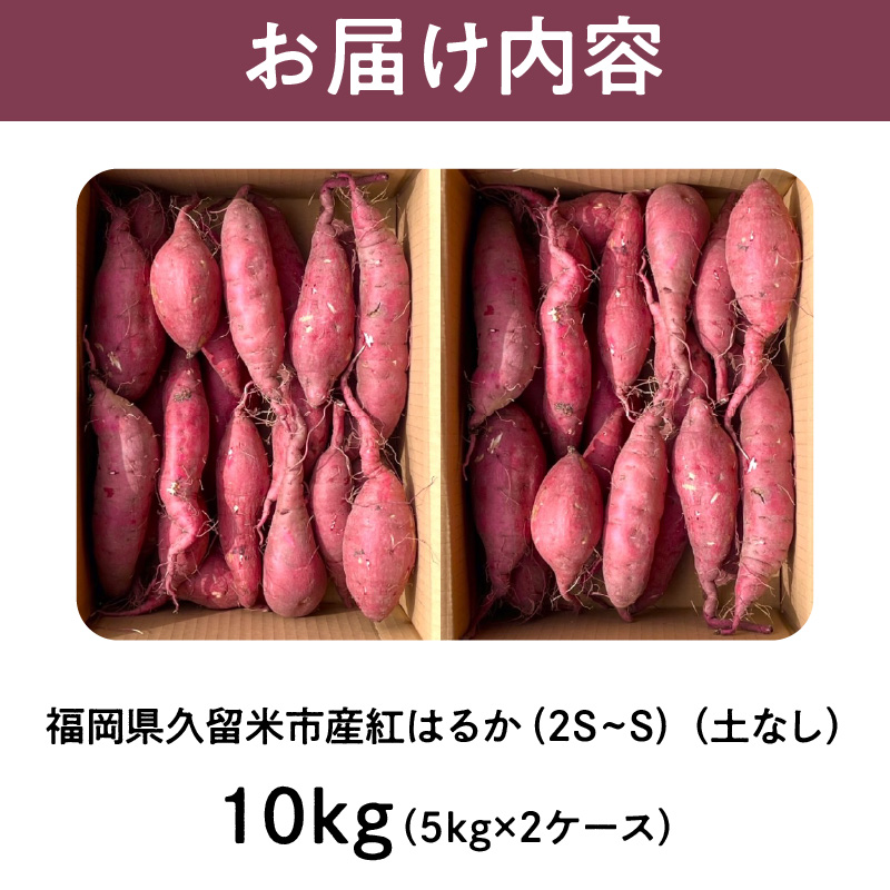福岡県久留米市産　長期熟成紅はるか 10kg　2S～S　土なし
