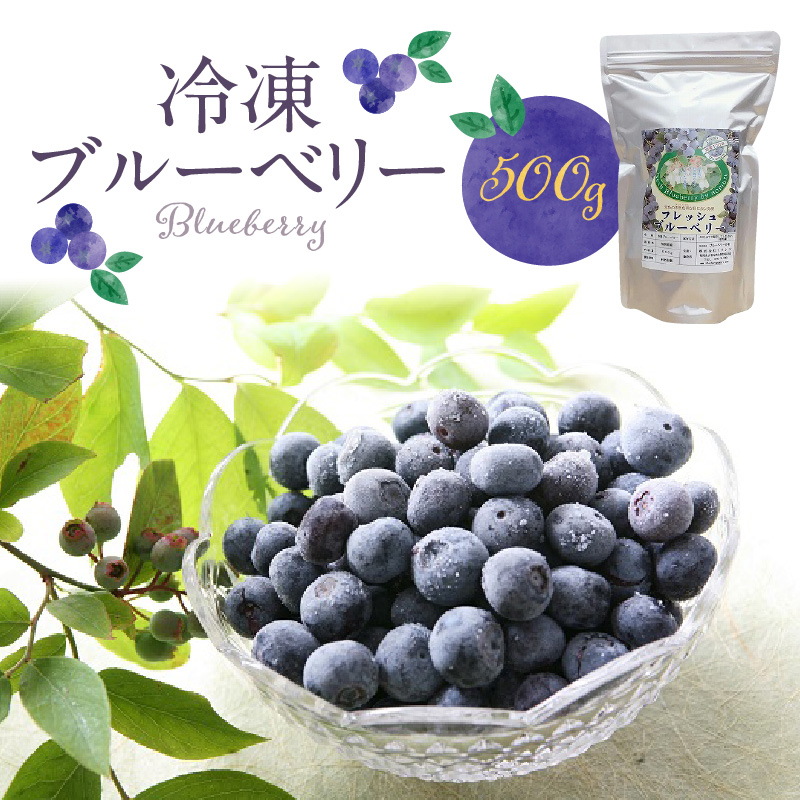 福岡県産　冷凍ブルーベリー　500g