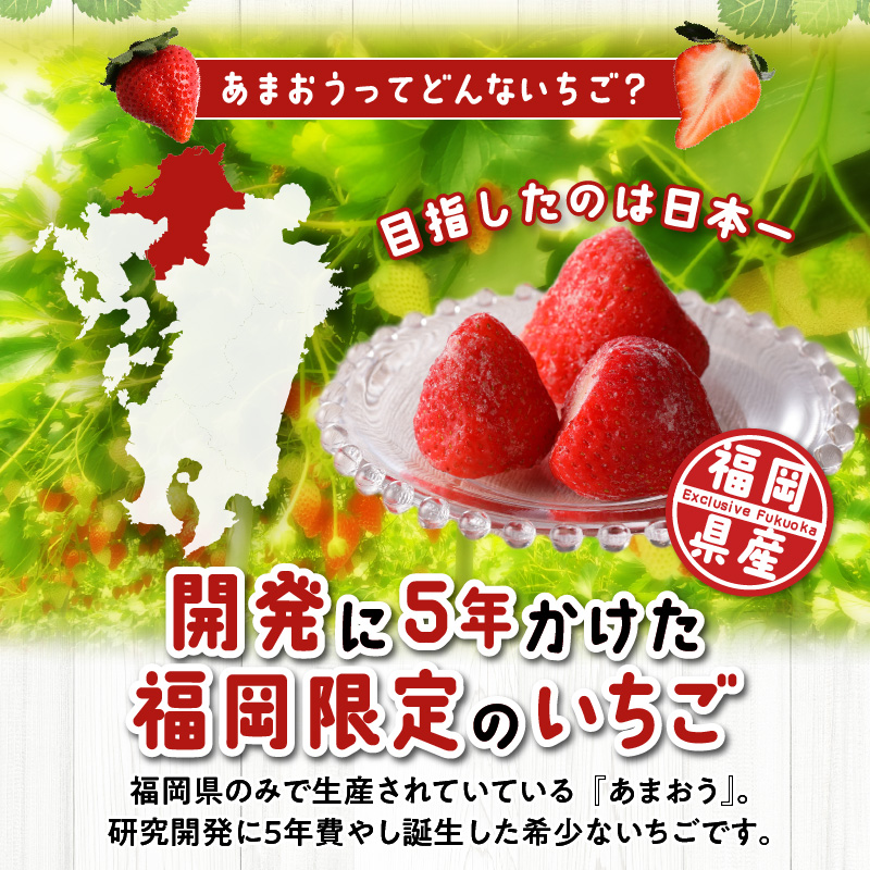 福岡県産　冷凍あまおう　2000g（500g×4パック）