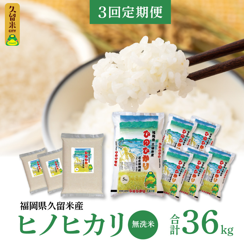 【3回定期便】無洗米 ヒノヒカリ 12kg 計3回 合計36kg