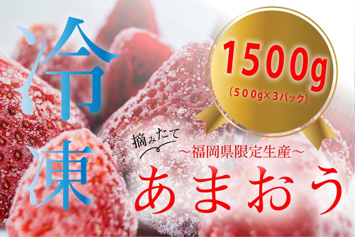 福岡県産 冷凍あまおう 摘みたて 1,500g(500g×3パック)