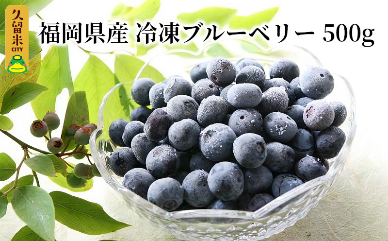福岡県産　冷凍ブルーベリー　500ｇ