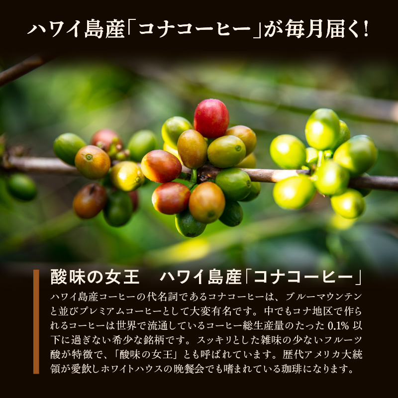 毎月届く　ハワイ　コナコーヒー　300g（100g×3）豆コース！3ヶ月コース