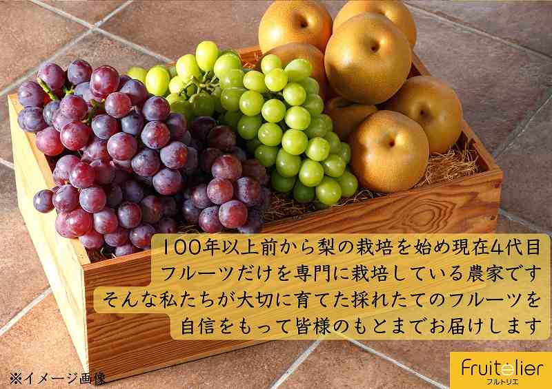 ※贈答用※【フルトリエ】シャインマスカット・ピオーネ・梨の詰合せ☆100年続くフルーツ農家