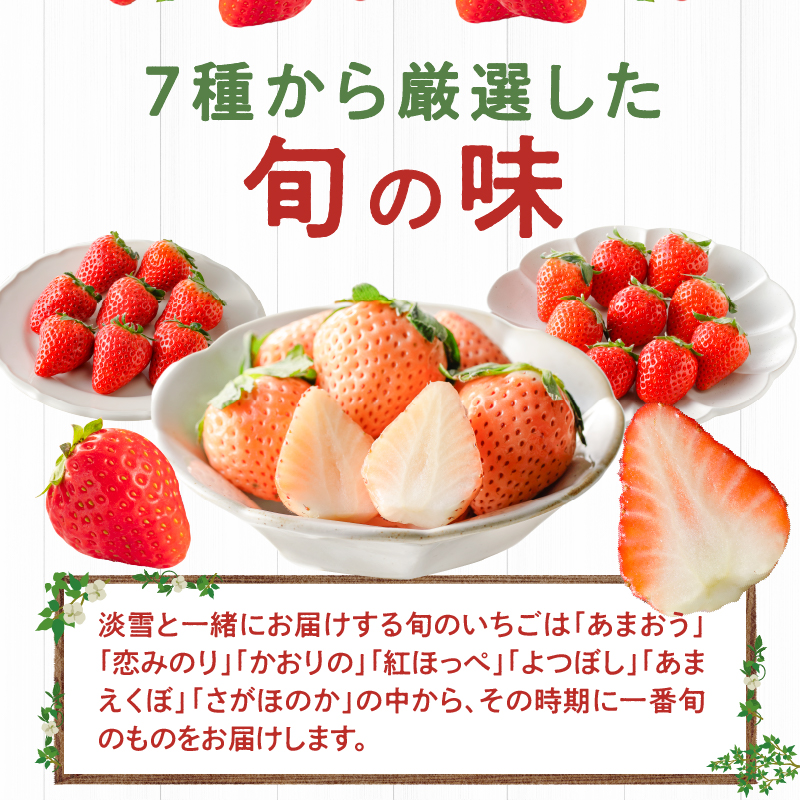 特別栽培 白いちご 淡雪と旬のいちご詰め合わせ紅白セット （ふくおかエコ農産物） 約500g