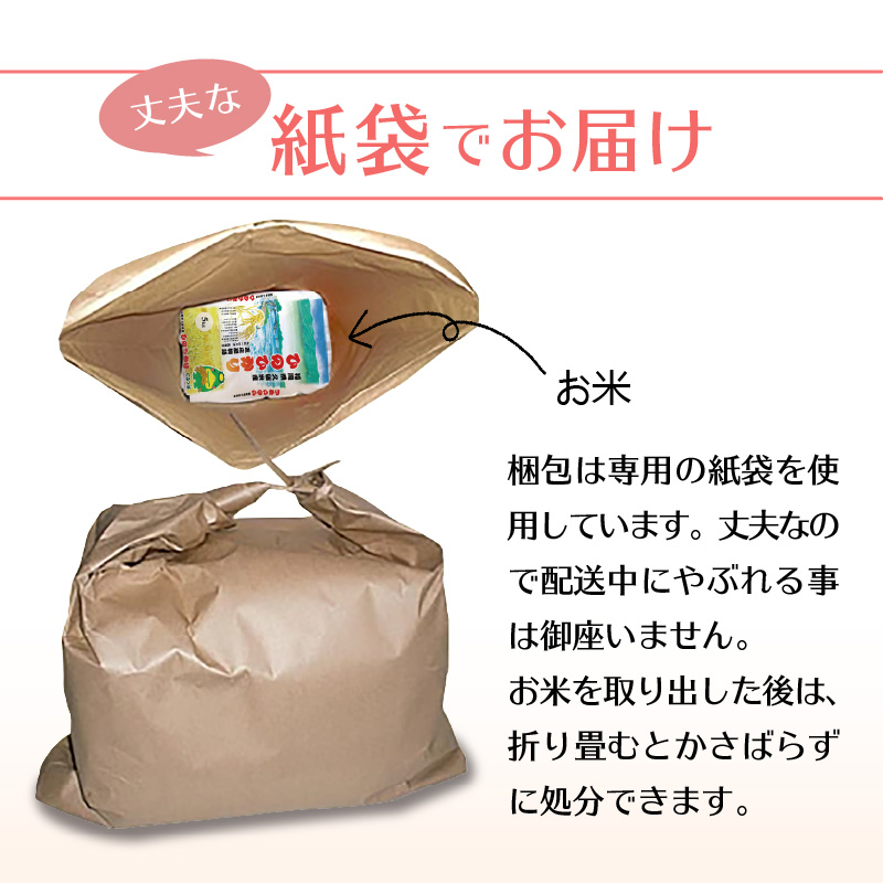 令和5年産　普通精米　久留米産ヒノヒカリ　10kg
