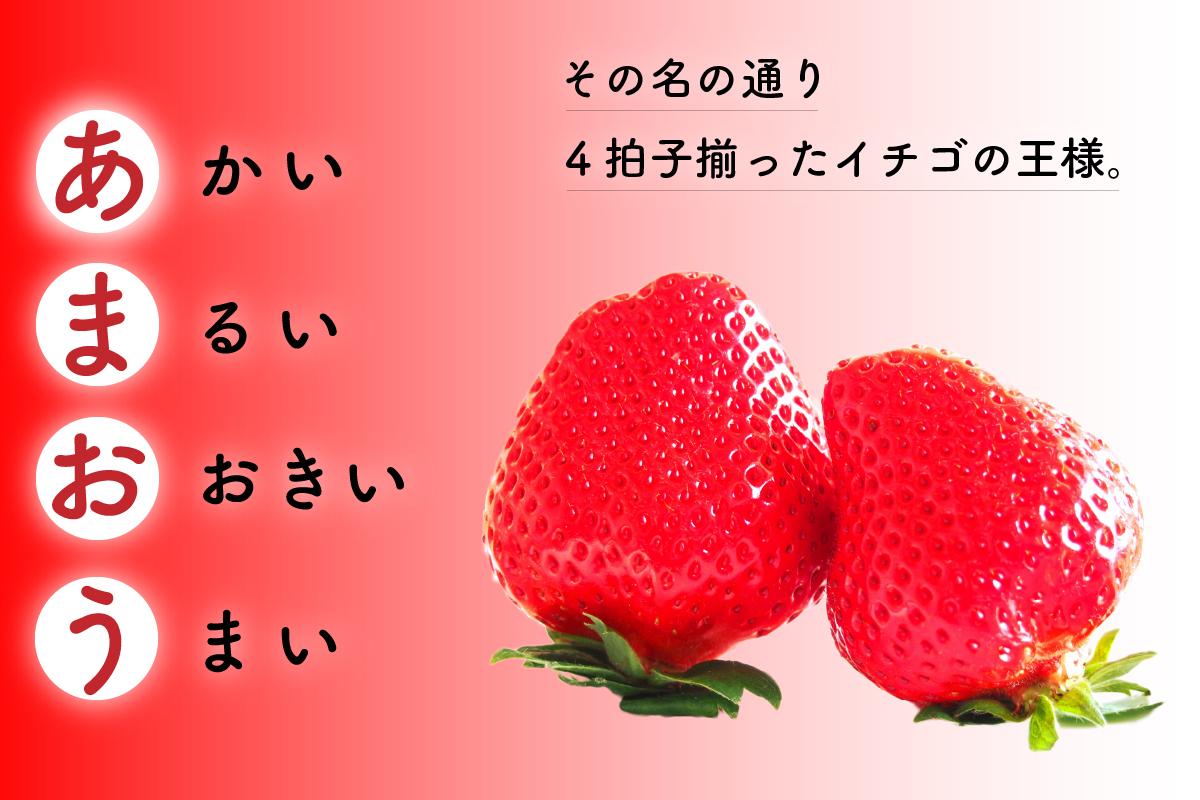 【先行予約】福岡県産 冷凍あまおう 摘みたて 1,500g(500g×3パック)
