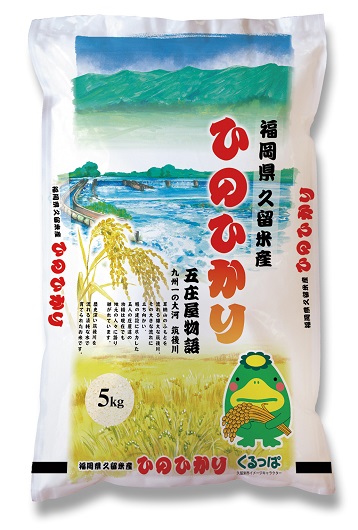 無洗米　福岡県産　令和2年産 ヒノヒカリ　10kg  (5kgｘ2袋) 