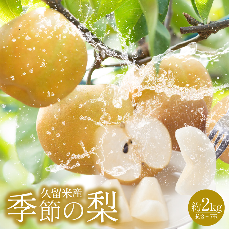 久留米産　季節の梨（約2kg）