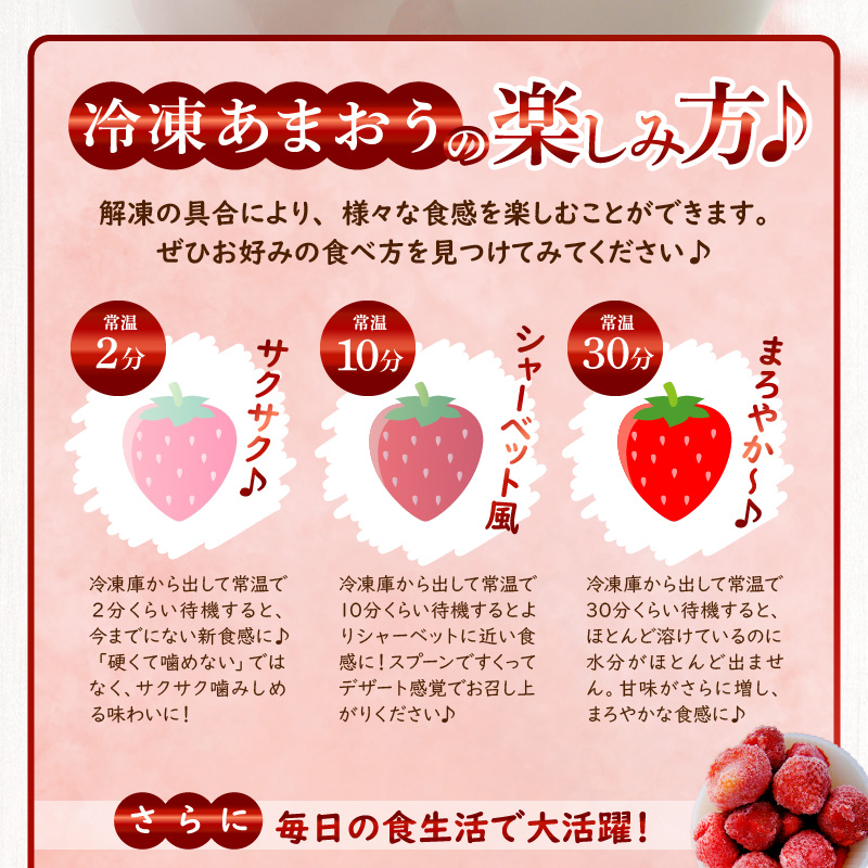 福岡県産あまおう（冷凍2.5kg）いちご　苺　特別栽培【数量限定】