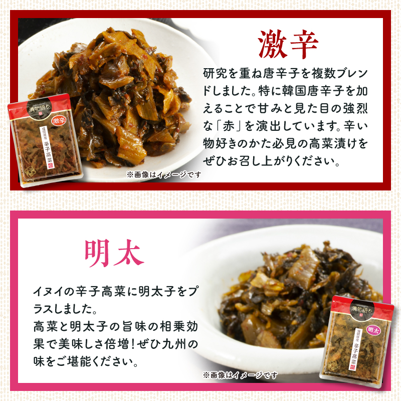 福岡県産辛子高菜4種セット