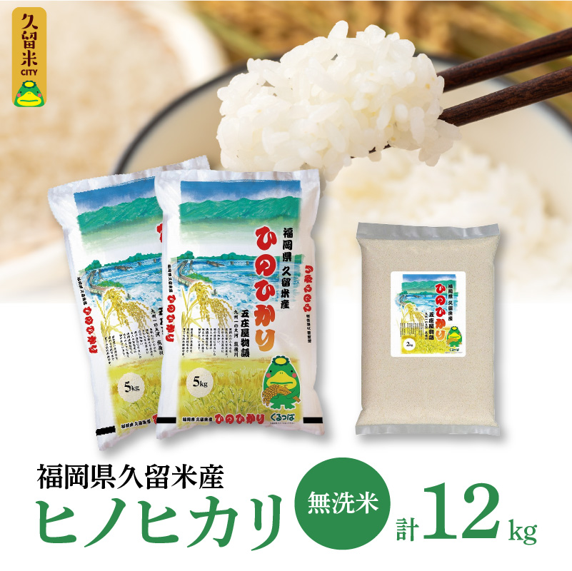 無洗米 令和4年産 ヒノヒカリ12kg