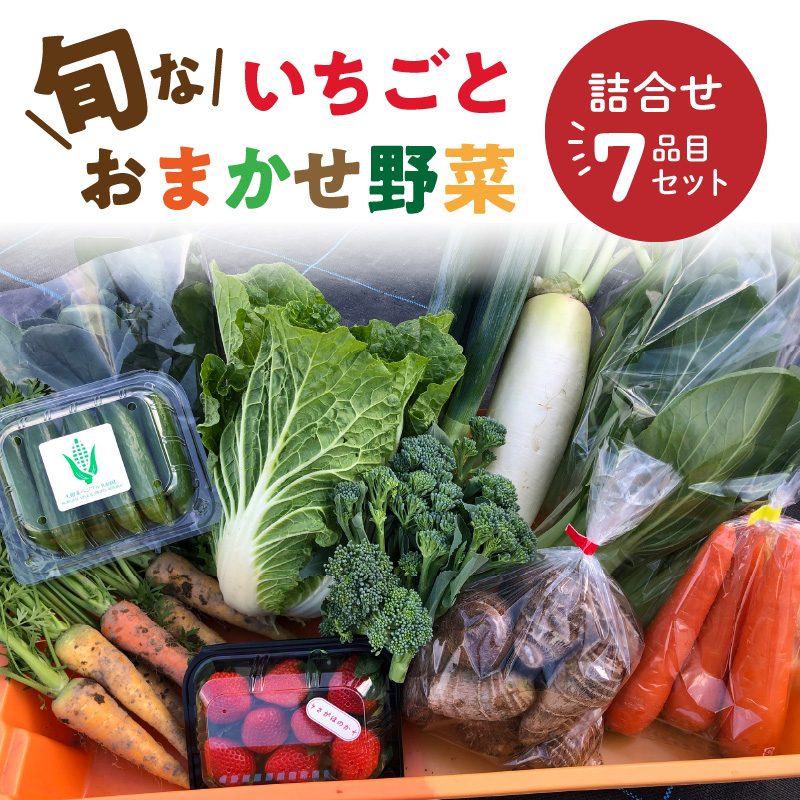 野菜セットA（キャベツ5玉・ピーマン約2.5kg・にんじん約5kg） 3種