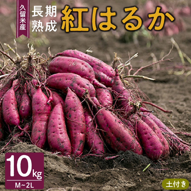 福岡県久留米市産　長期熟成紅はるか 10kg　M～2L　土付き