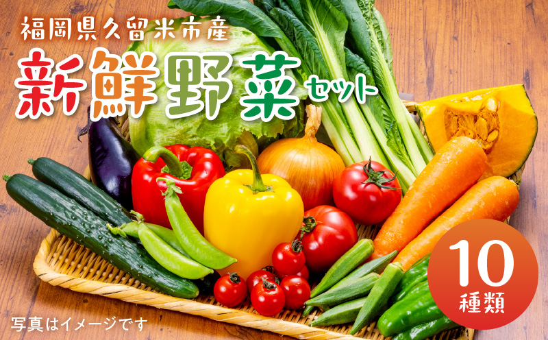 福岡県久留米市産　新鮮野菜セット